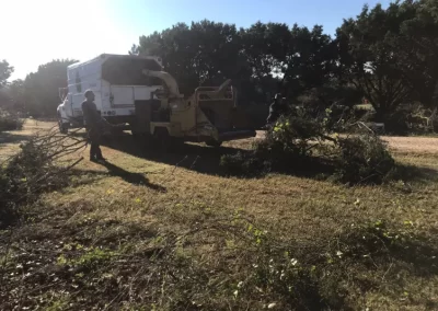 Dependable Land Clearing