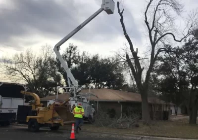 Dependable Tree Trimming