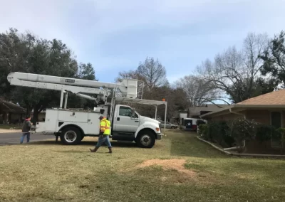 Javier's Tree Service Waco, TX