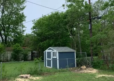 Professional Land Clearing