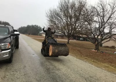 Quality Tree Removal