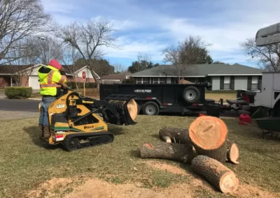 Reliable Tree Removal