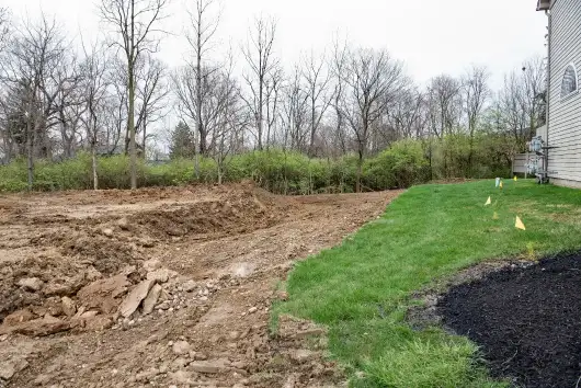 Benefits Of Hiring A Tree Service For Efficient Land Clearing Waco TX