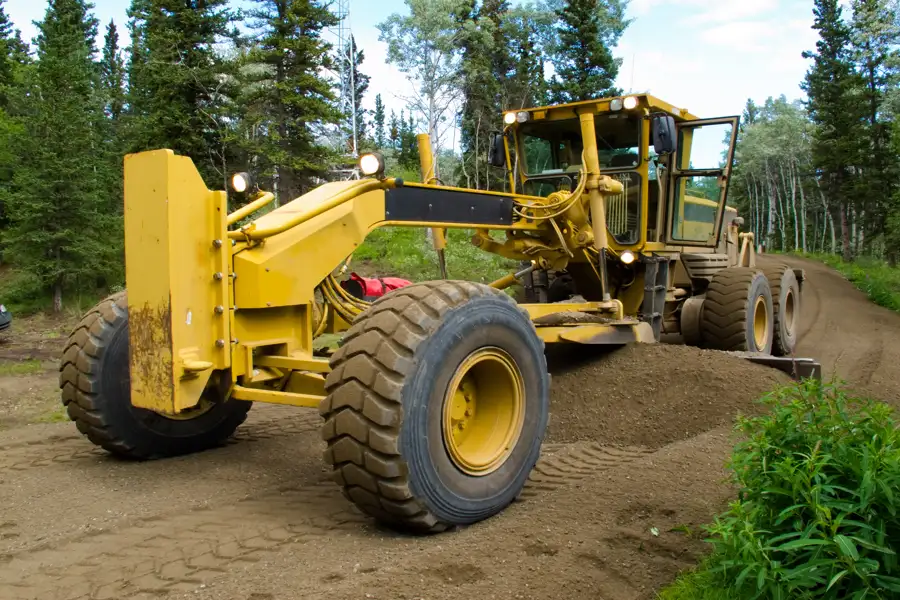 Benefits Of Hiring A Tree Service For Efficient Land Clearing in Waco TX
