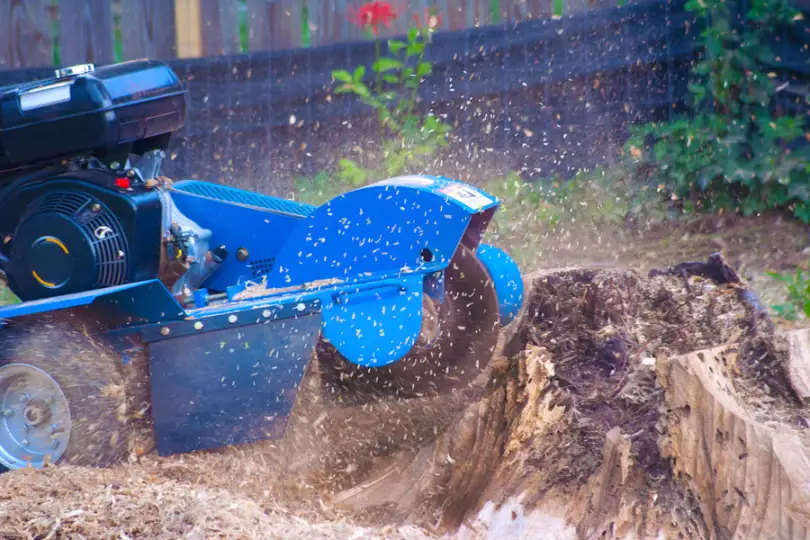 Can Stump Grinding Improve Yard Drainage Issues Waco TX