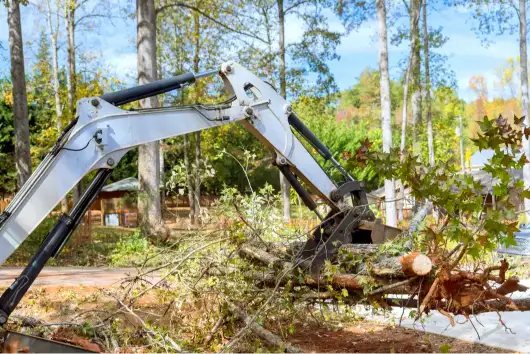 Land Clearing Tips For Creating A Better Landscape Design in Waco TX