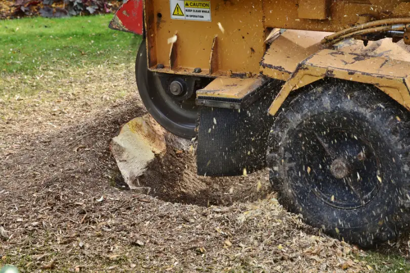 The Safety Benefits Of Professional Stump Grinding Services Waco TX