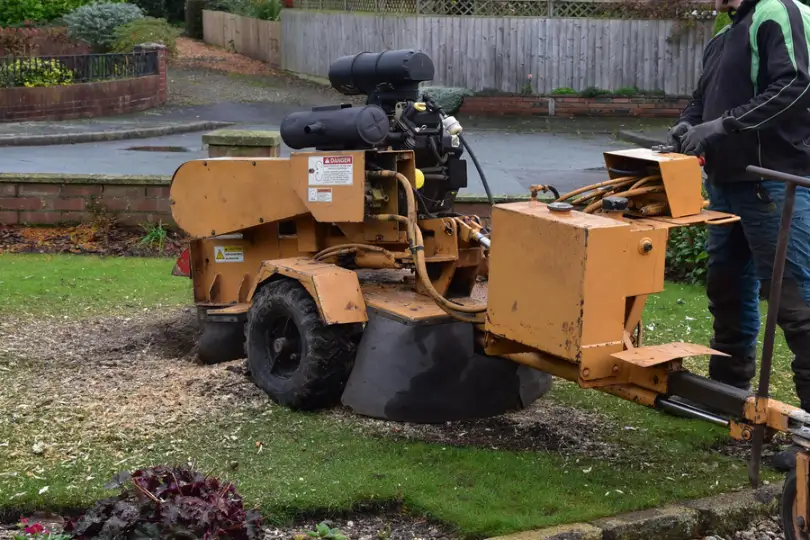 The Safety Benefits Of Professional Stump Grinding Services in Waco TX