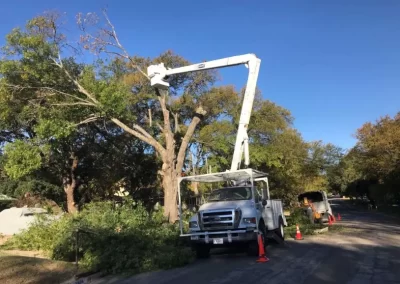 Quality Tree Service